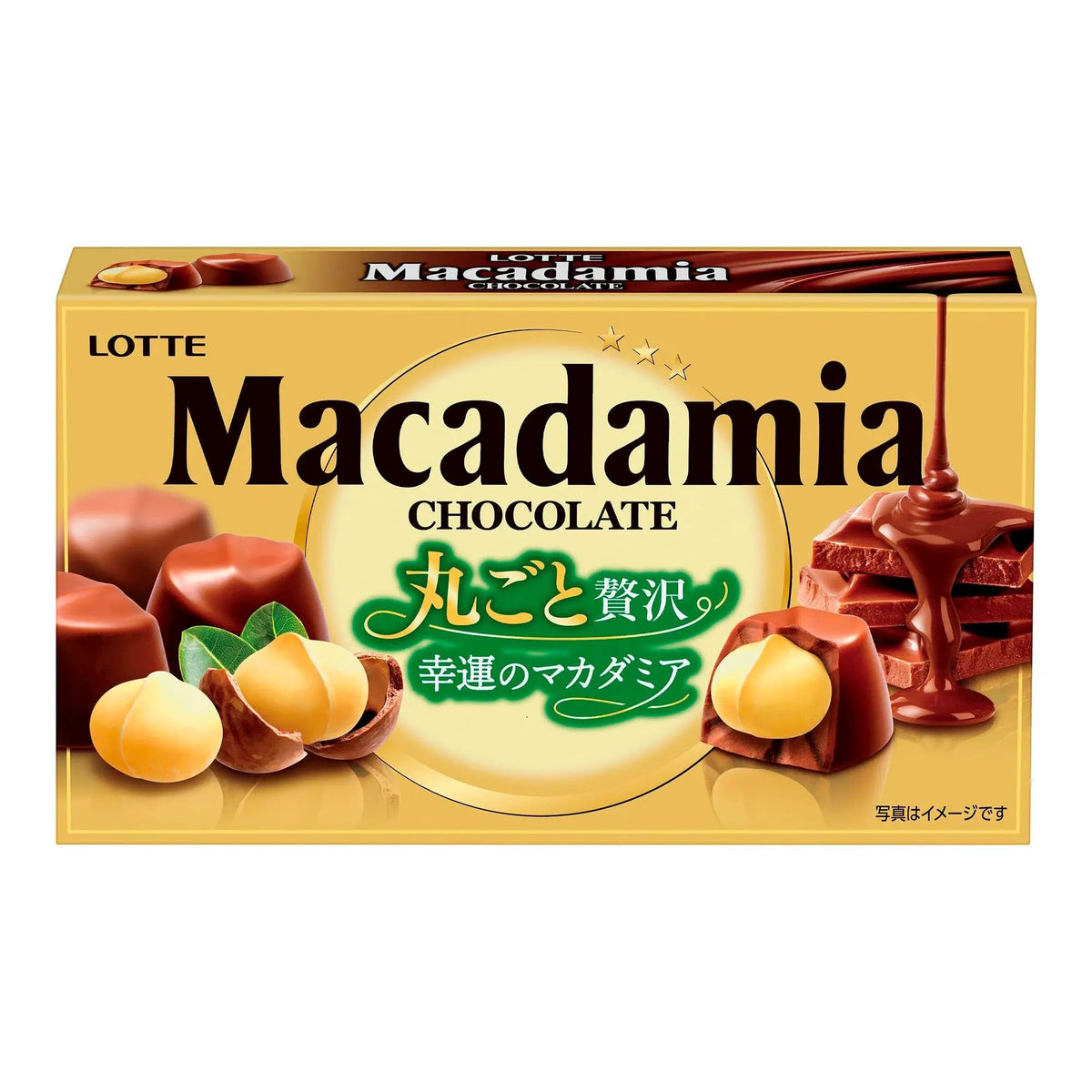 Lotte Macadamia Chocolate Japanese Snack Treat – Tomato Japanese